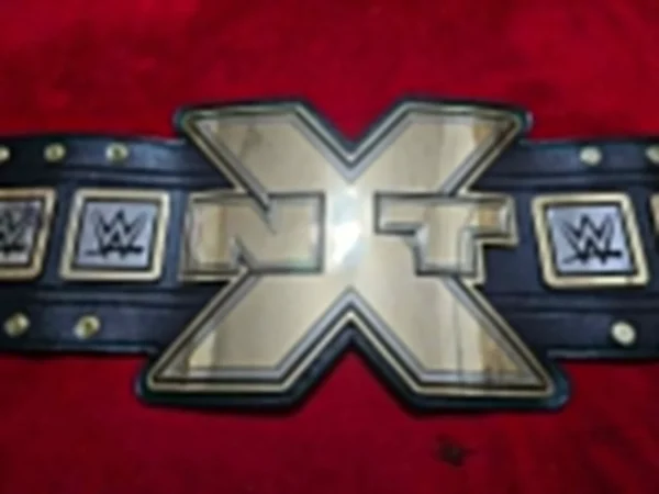 WWE NXT championship title replica custom belt plates for adults